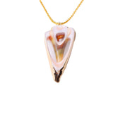 Beautiful Natural Sea Shell Necklace