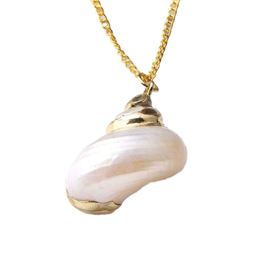 Beautiful Natural Hermit Shell