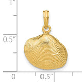 14K MEDIUM CLAM SHELL PENDANT