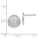 Boucles d'oreilles dollar des sables en or blanc 14 carats