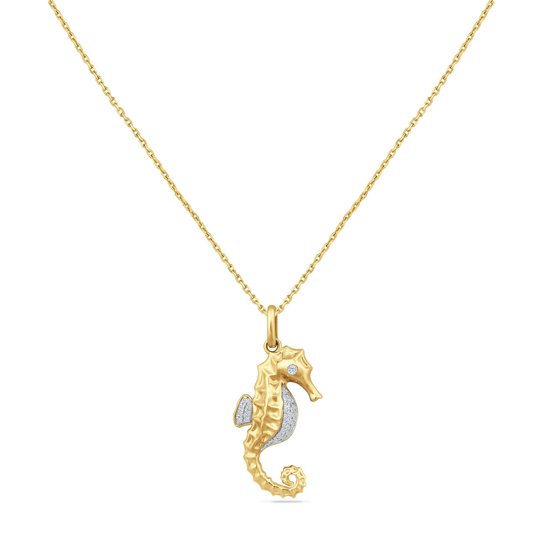 Why We’re Drawn to Seahorses: A Story of Grace and Strength