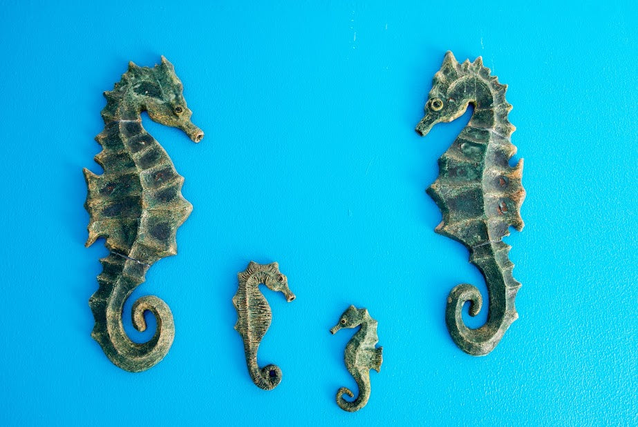 The Enigmatic Seahorse: Nature's Living Masterpiece