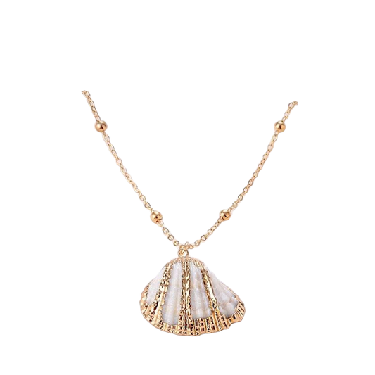 Conch Seashell Necklace With Bead Chain