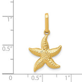 14k Textured Hollow Starfish Pendant