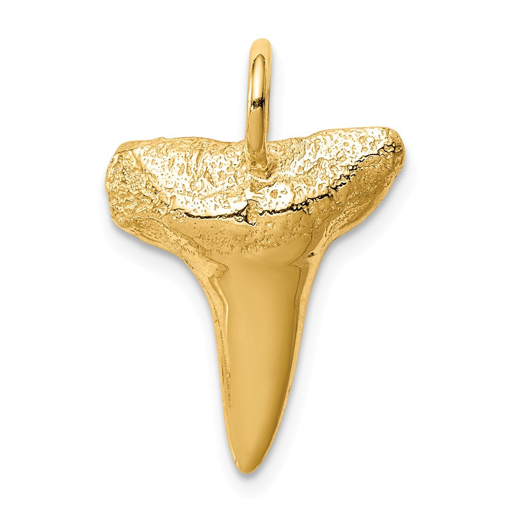 14k Gold Shark Tooth Pendant