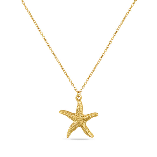Collier coquillage étoile de mer