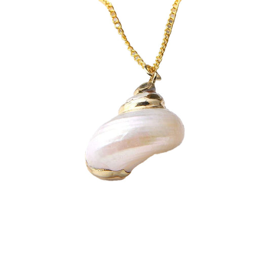Beautiful Natural Hermit Shell Necklace