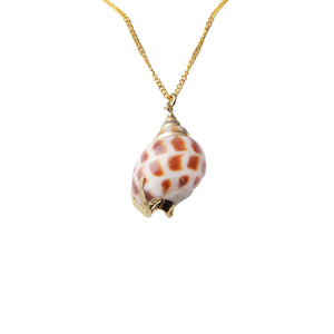 Magnifique collier de coquille de conque d'océan naturel