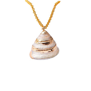 Beautiful Natural Sea Shell Necklace