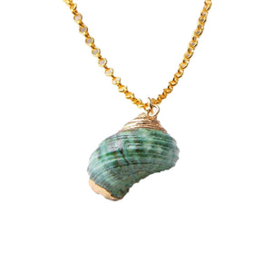 Beautiful Natural Hermit Shell Necklace