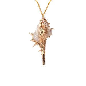Beautiful Natural Long Conch Shell Necklace