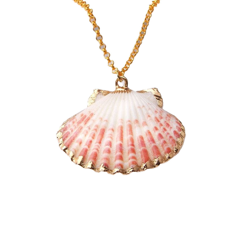 Scallop Shell Necklace – Co. Kind Jewelry
