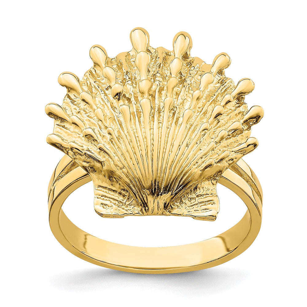 14K Lion's Paw Shell Ring