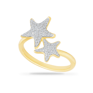 Ensemble d'étoiles de mer 14K
