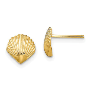 14K Scallop Shell Post Earrings