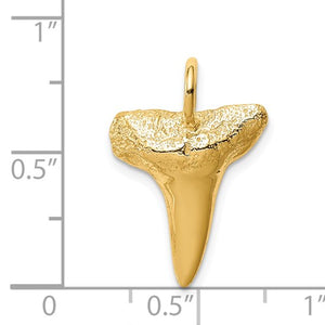 14K Shark Tooth Pendant