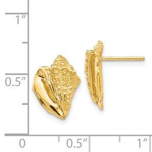 14k Conch Shell Earrings