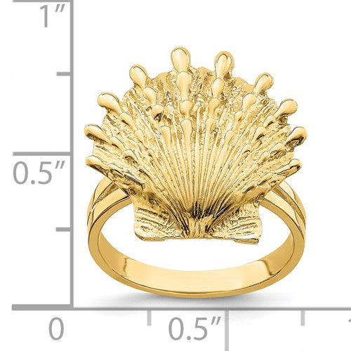 14K Lion's Paw Shell Ring